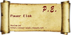 Pauer Elek névjegykártya